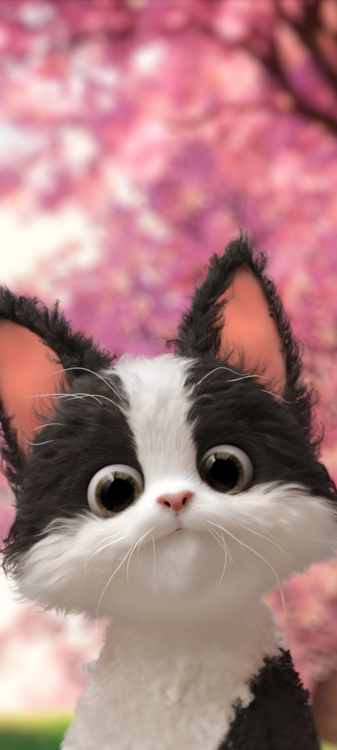 Cute Fluffy Cat - huawei wallpaper for StockWalls