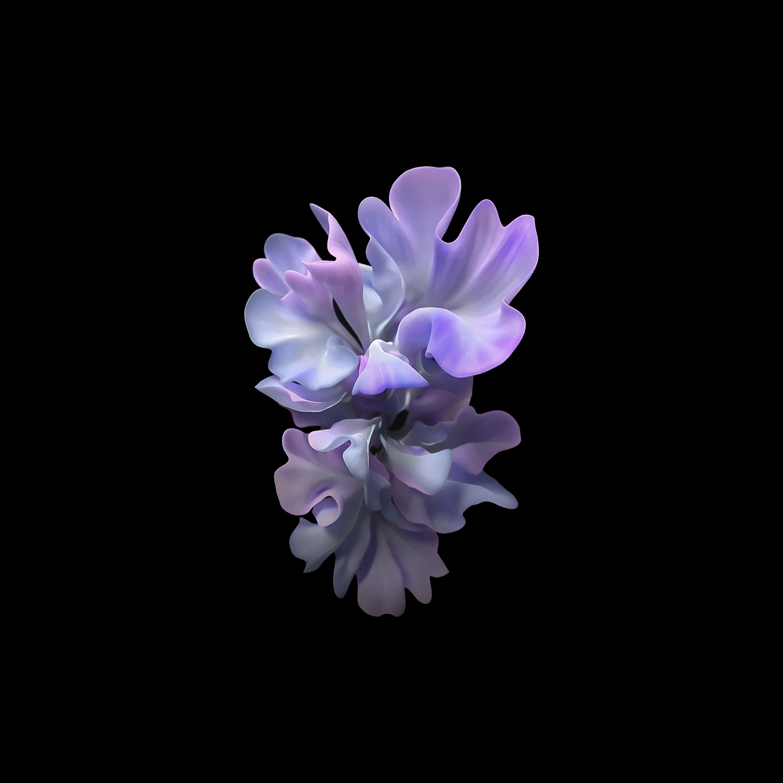 Ethereal Purple Bloom - samsung wallpaper for StockWalls
