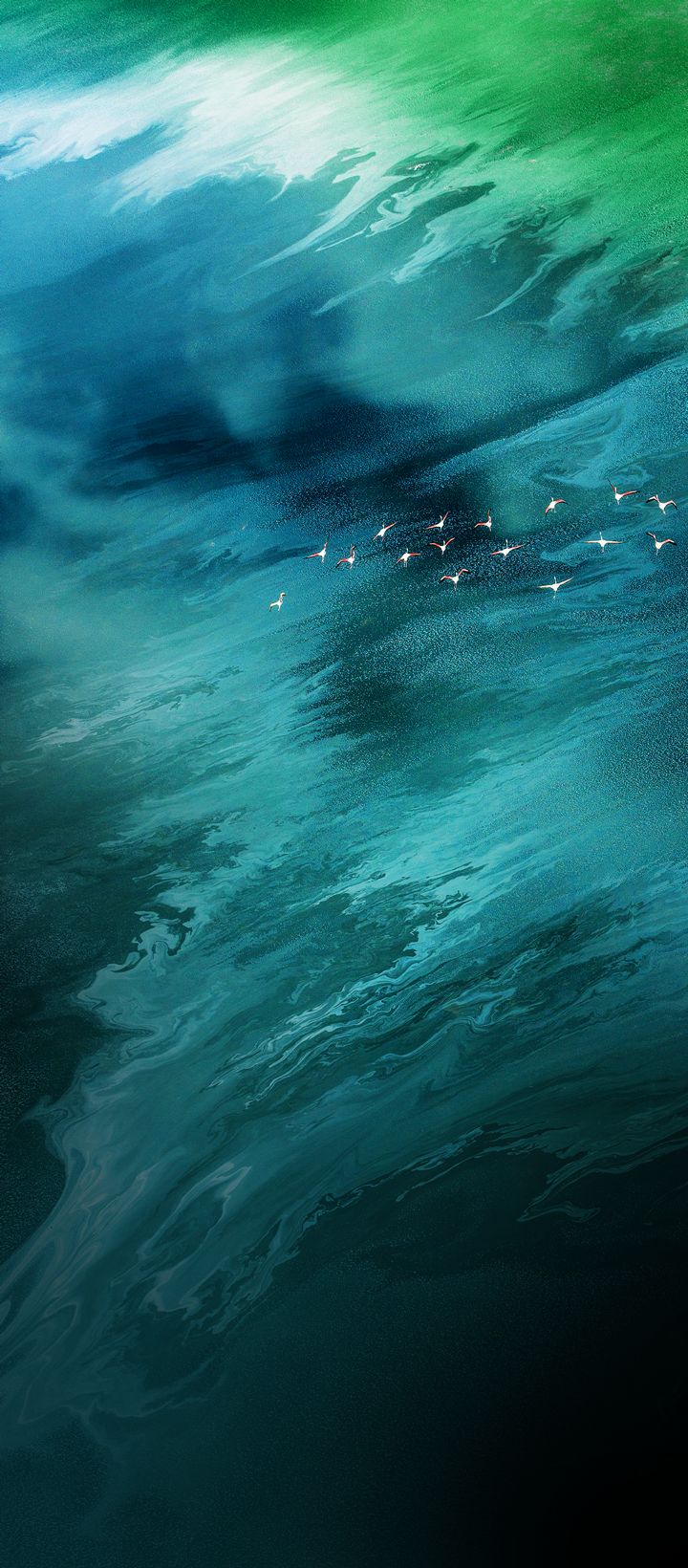 Flamingos Over Teal Water - infinix wallpaper for StockWalls