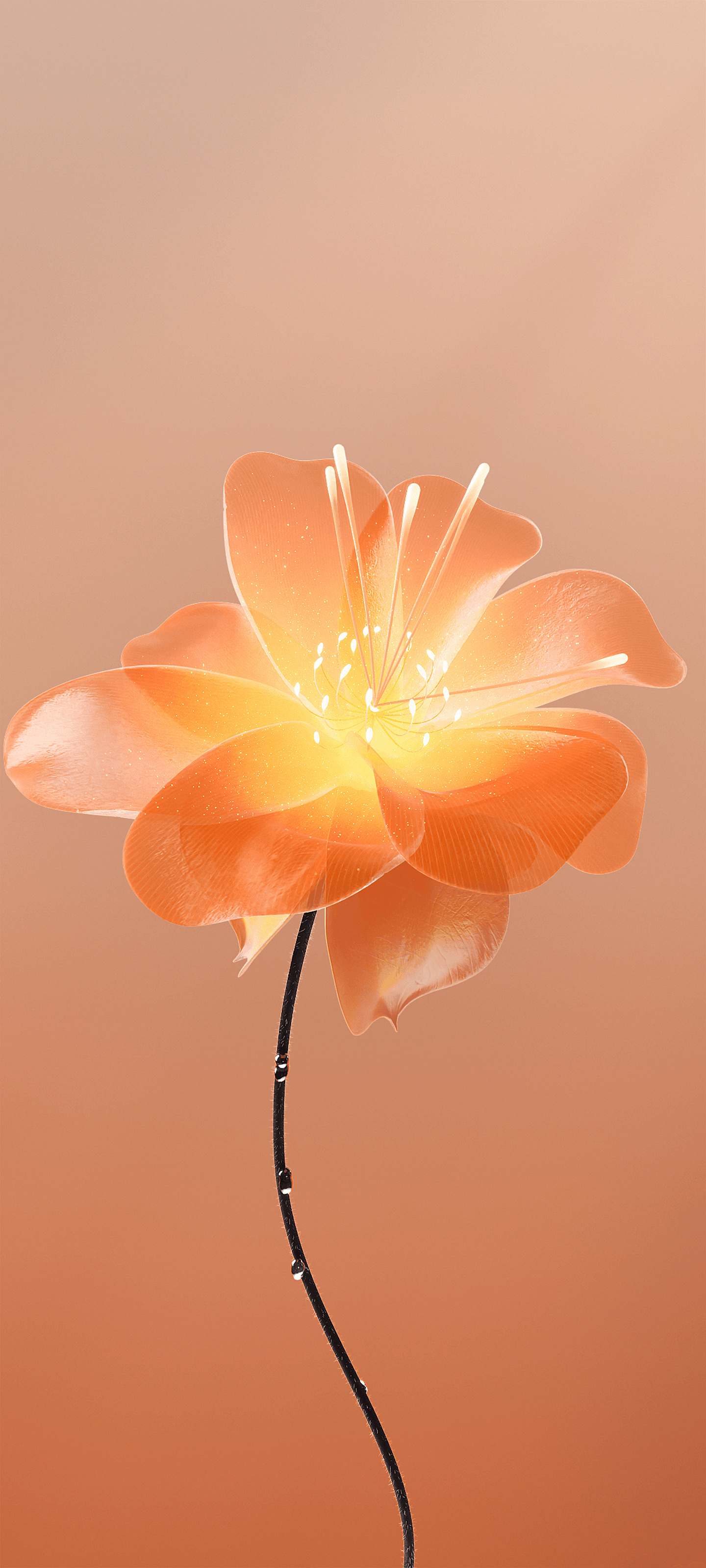 Glowing Orange Flower - meizu wallpaper for StockWalls