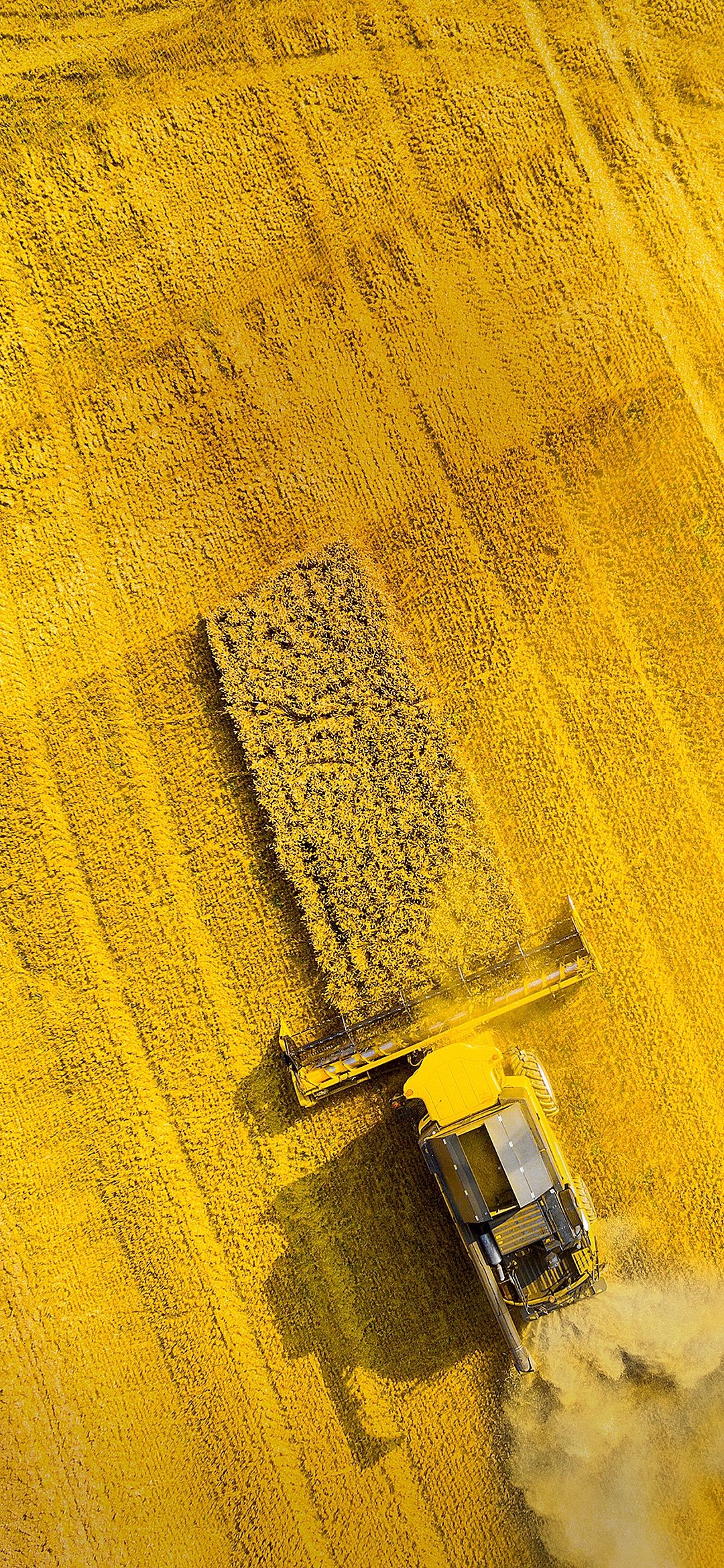 Golden Harvest Aerial View - asus wallpaper for StockWalls