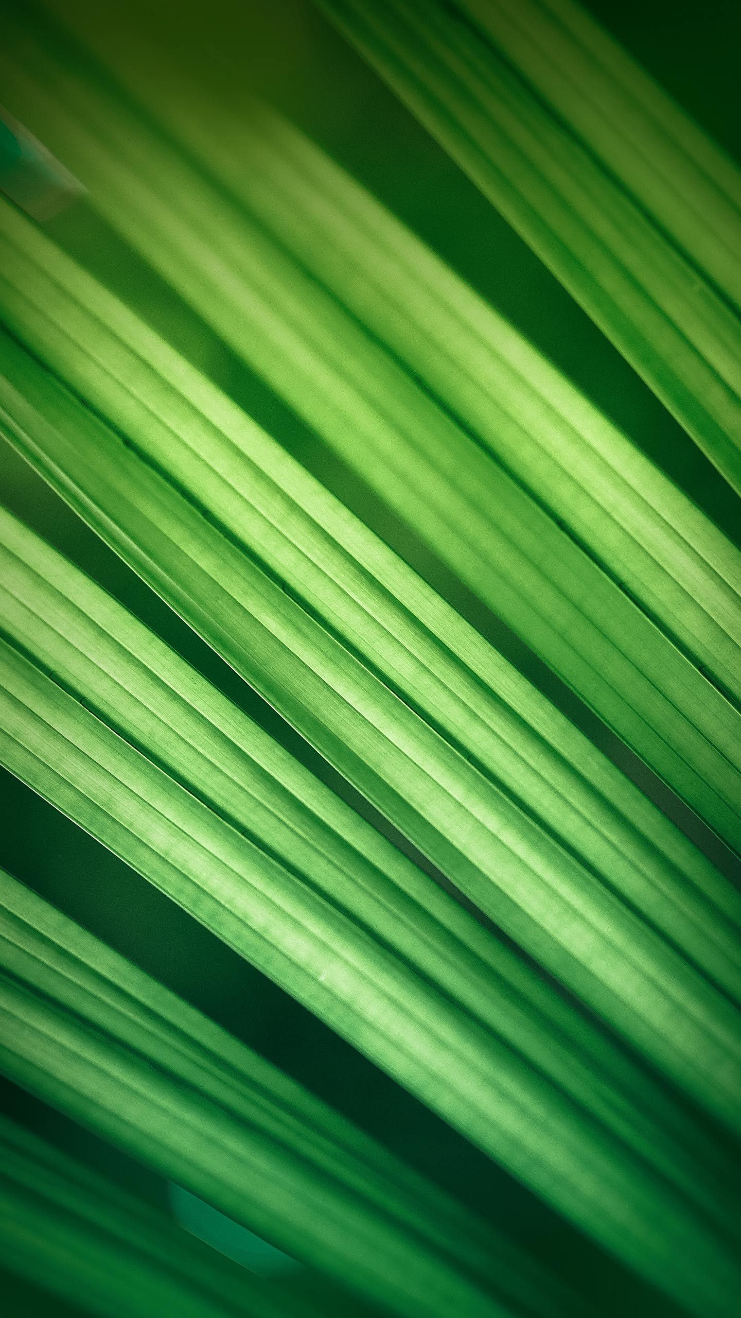 Green Leaf Texture - xiaomi wallpaper for StockWalls