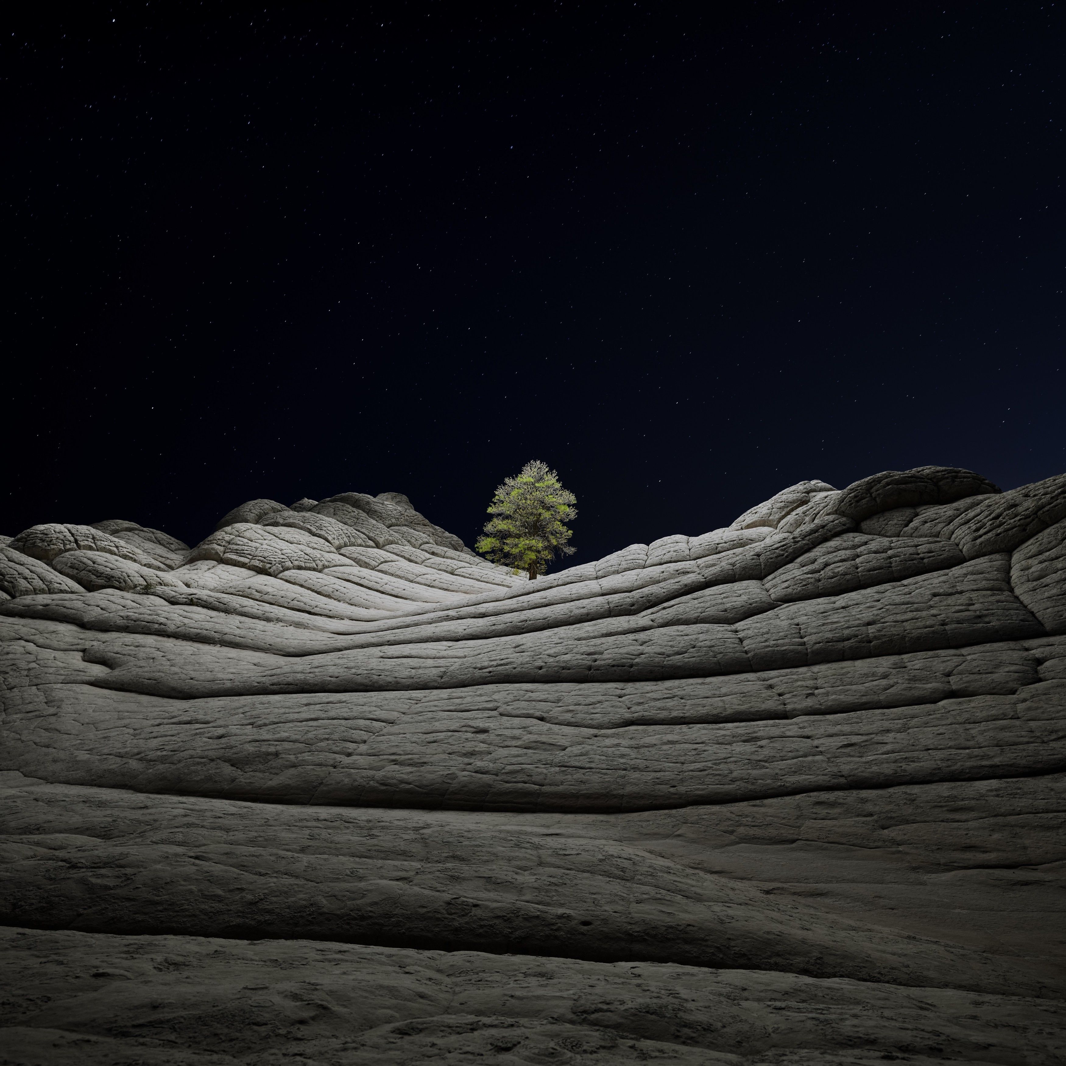 Lone Tree Under Stars - apple wallpaper for StockWalls