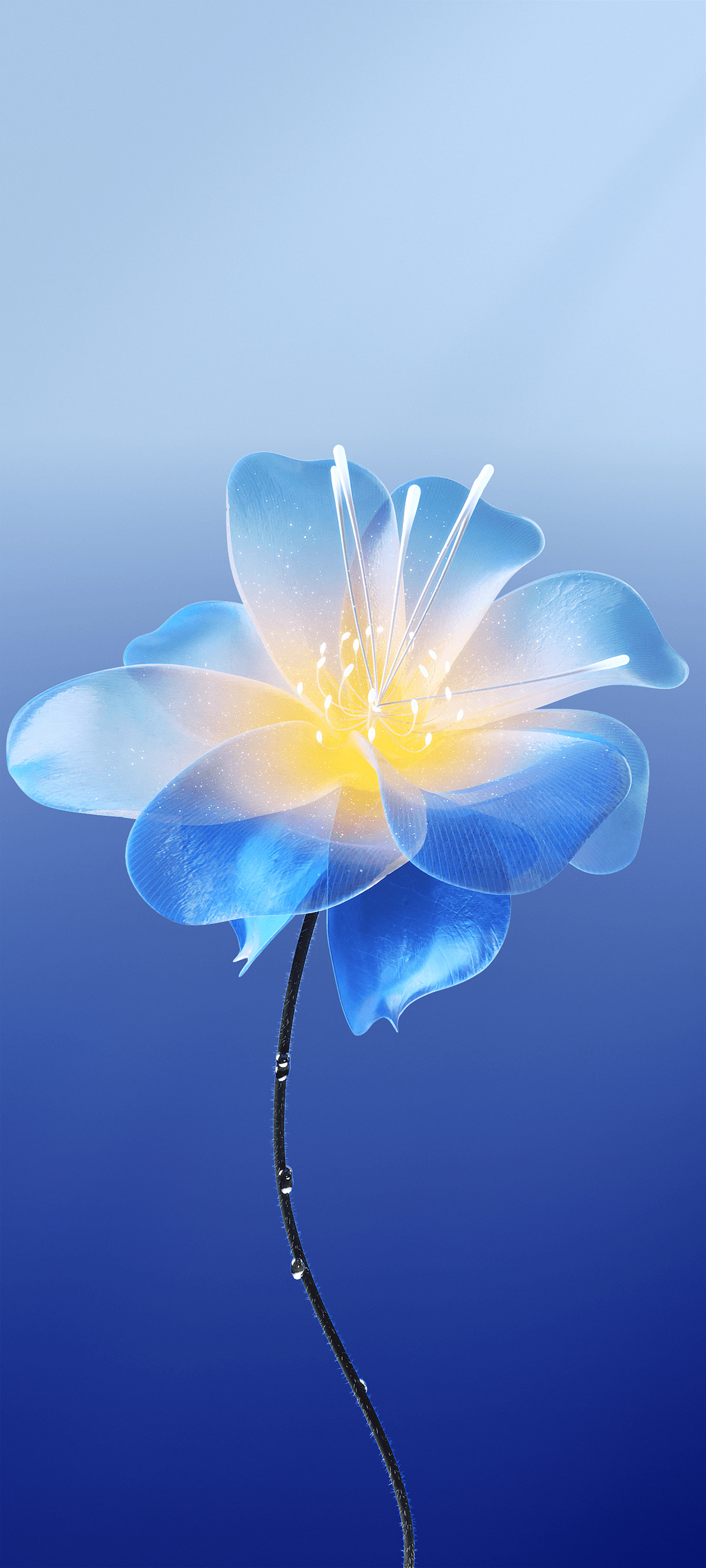 Luminous Blue Flower - meizu wallpaper for StockWalls