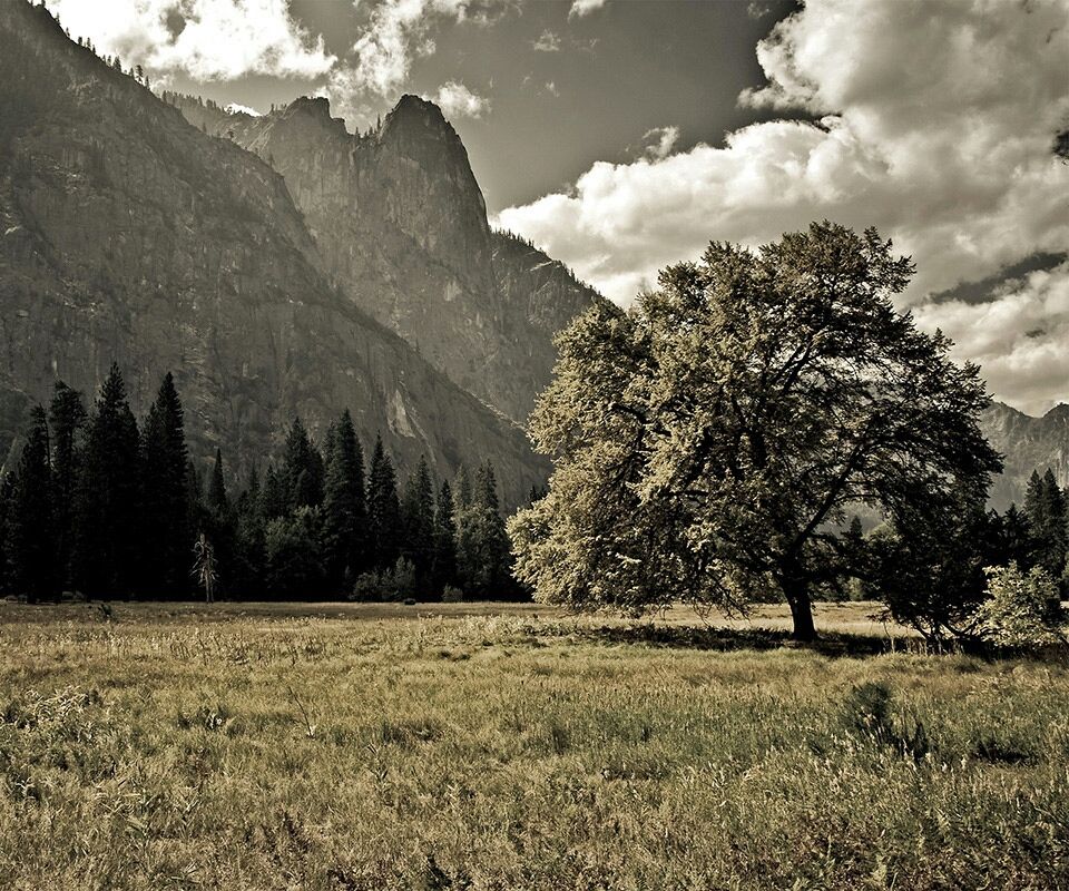 Majestic Mountain Meadow - samsung wallpaper for StockWalls