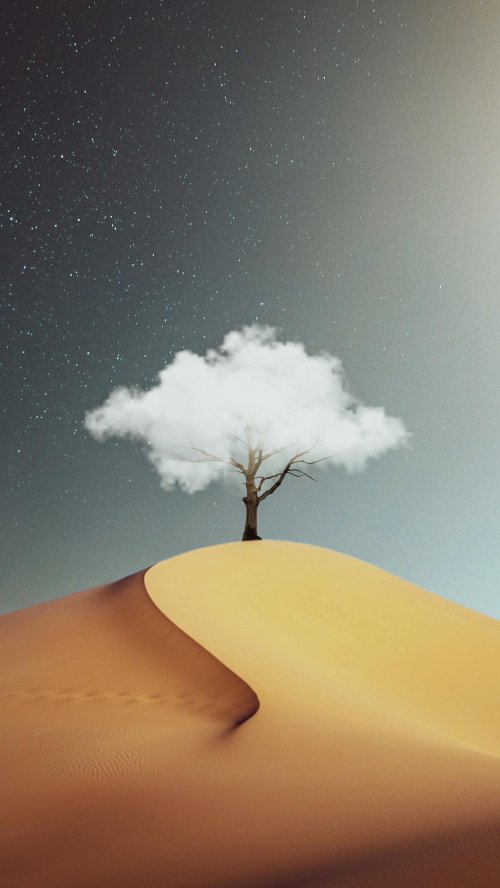 Cloud Tree Desert Landscape - Related OpersCraft wallpaper
