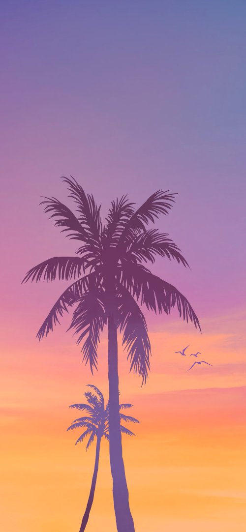 Palm Trees Sunset Silhouette - Related StockWalls wallpaper