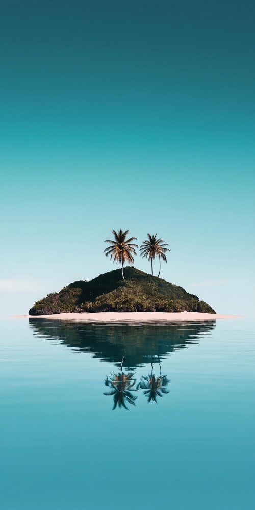Tropical Island Palm Reflection - Related OpersCraft wallpaper