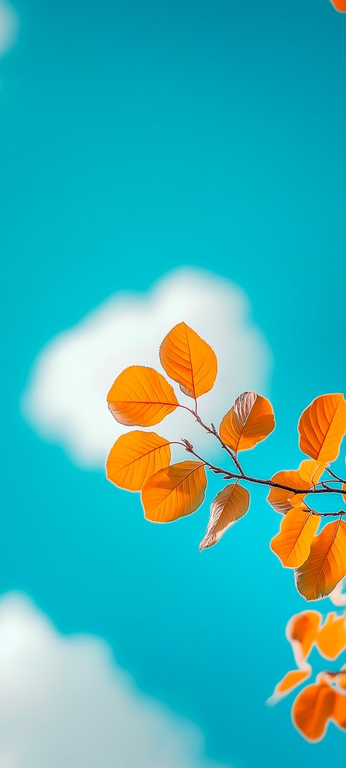 Golden Leaves Against Sky - leaf Wallpaper