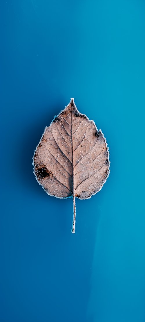 Frosted Autumn Leaf - Related OpersCraft wallpaper