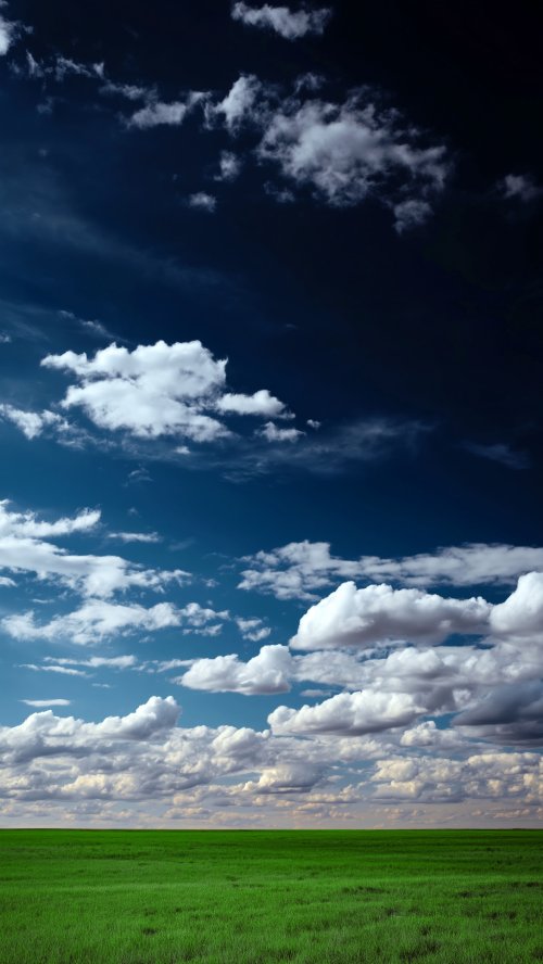 Vibrant Green Meadow Sky - Related Desktop & Laptop wallpaper