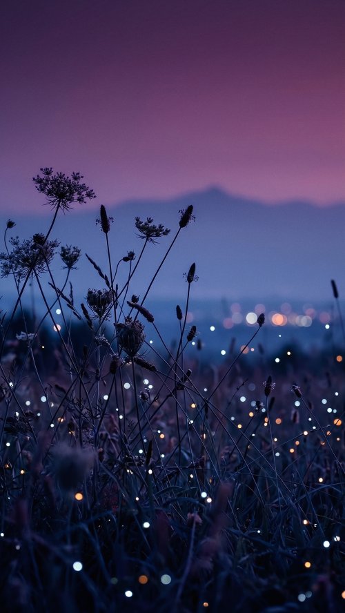 Twilight Wildflower Meadow Glow - Related OpersCraft wallpaper