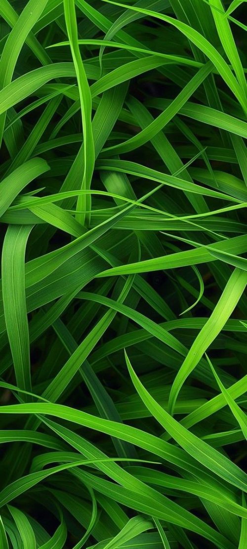 Vibrant Green Grass Blades - Related OpersCraft wallpaper