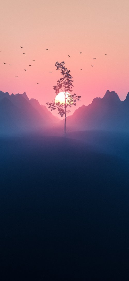 Lonely Tree Sunset Silhouette - sunset Wallpaper
