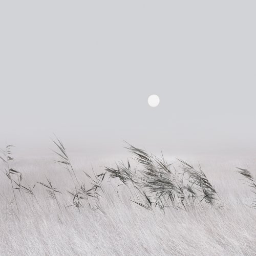 Minimalist Xiaomi HyperOS Wallpaper