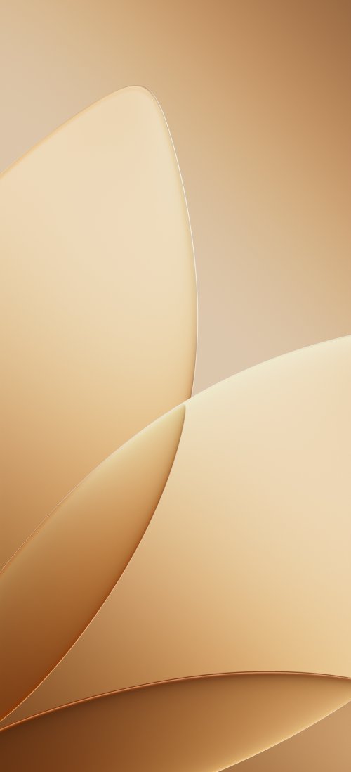Minimalist Golden Abstract Curves