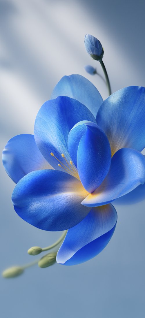 Blue OriginOS 7 Flower