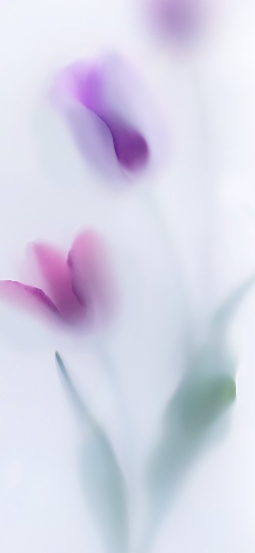 Soft Purple Floral Wallpaper