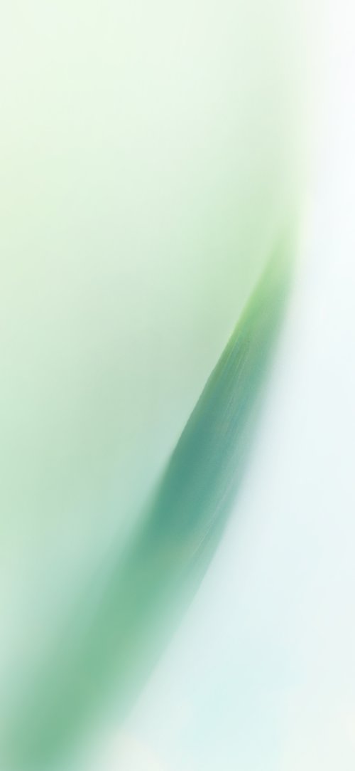 Soft Green Gradient Wallpaper