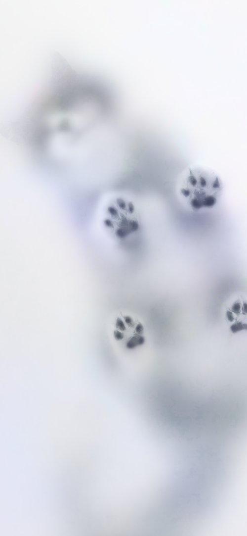 Cute Cat Paw Wallpaper - Related Tablet wallpaper