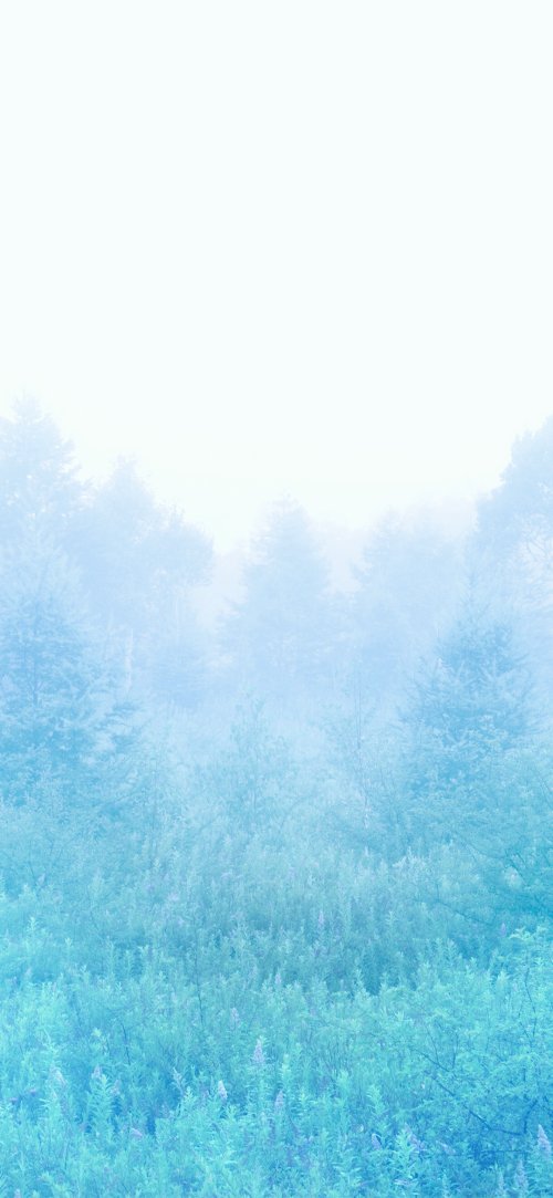 Misty Blue Forest Landscape