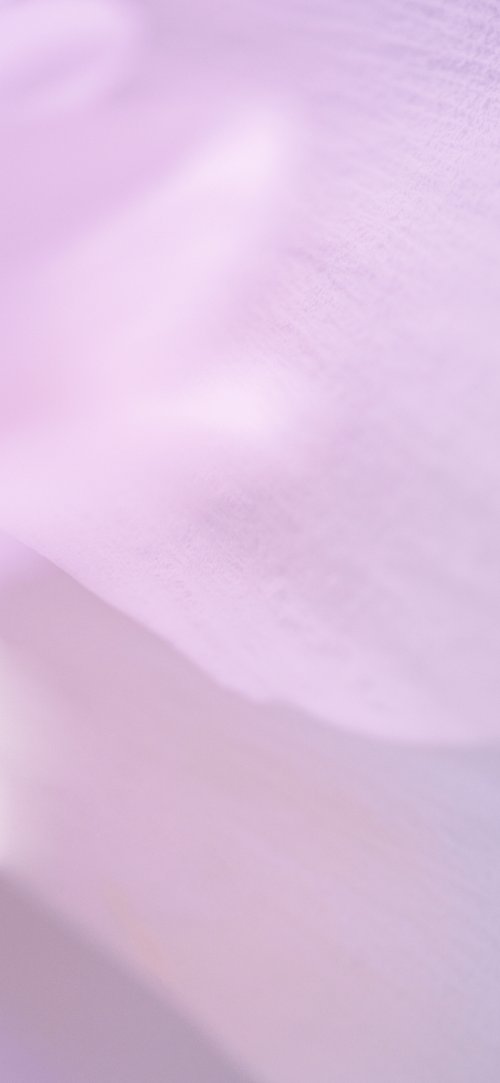 Soft Lavender Sony Wallpaper