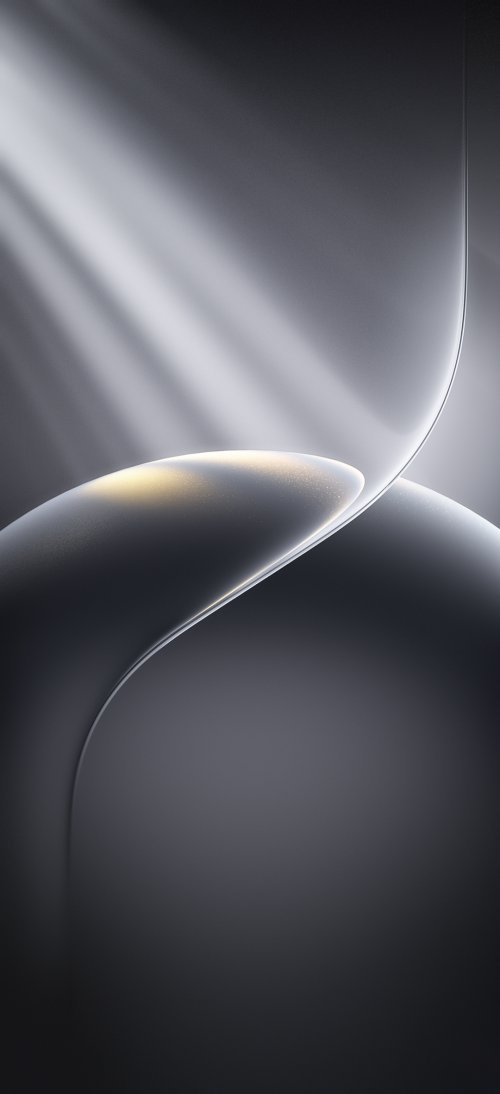 Elegant Grey Abstract Curves