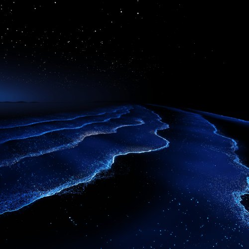 Bioluminescent Beach Huawei Wallpaper - Related StockWalls wallpaper
