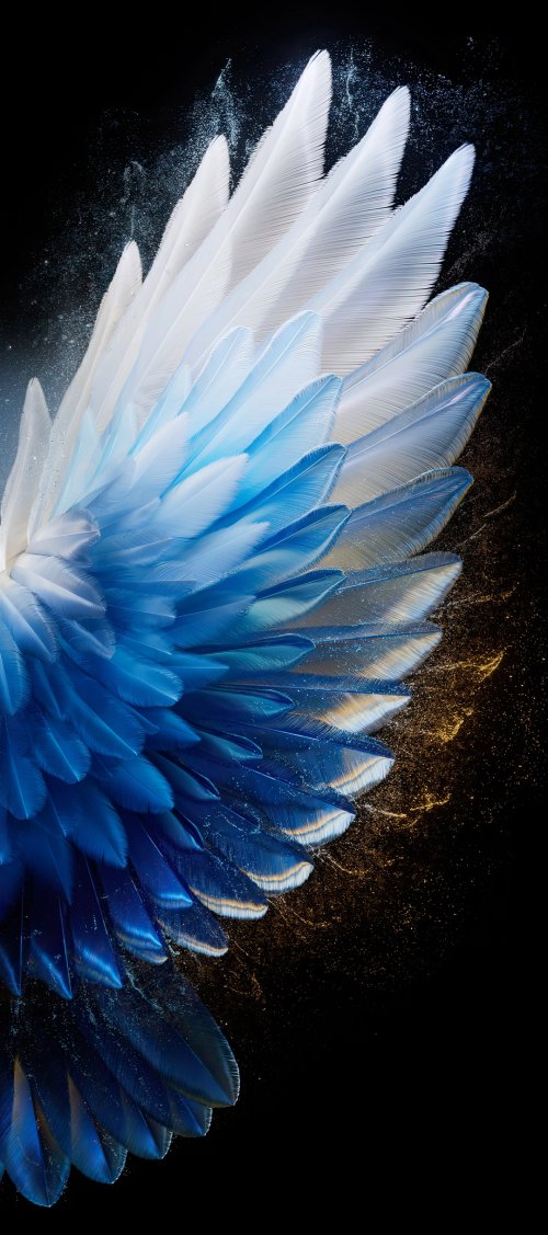 Blue Feather Wings - tecno Wallpaper