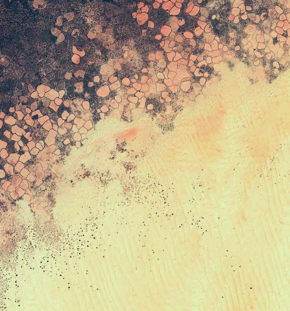 Cracked Earth Texture