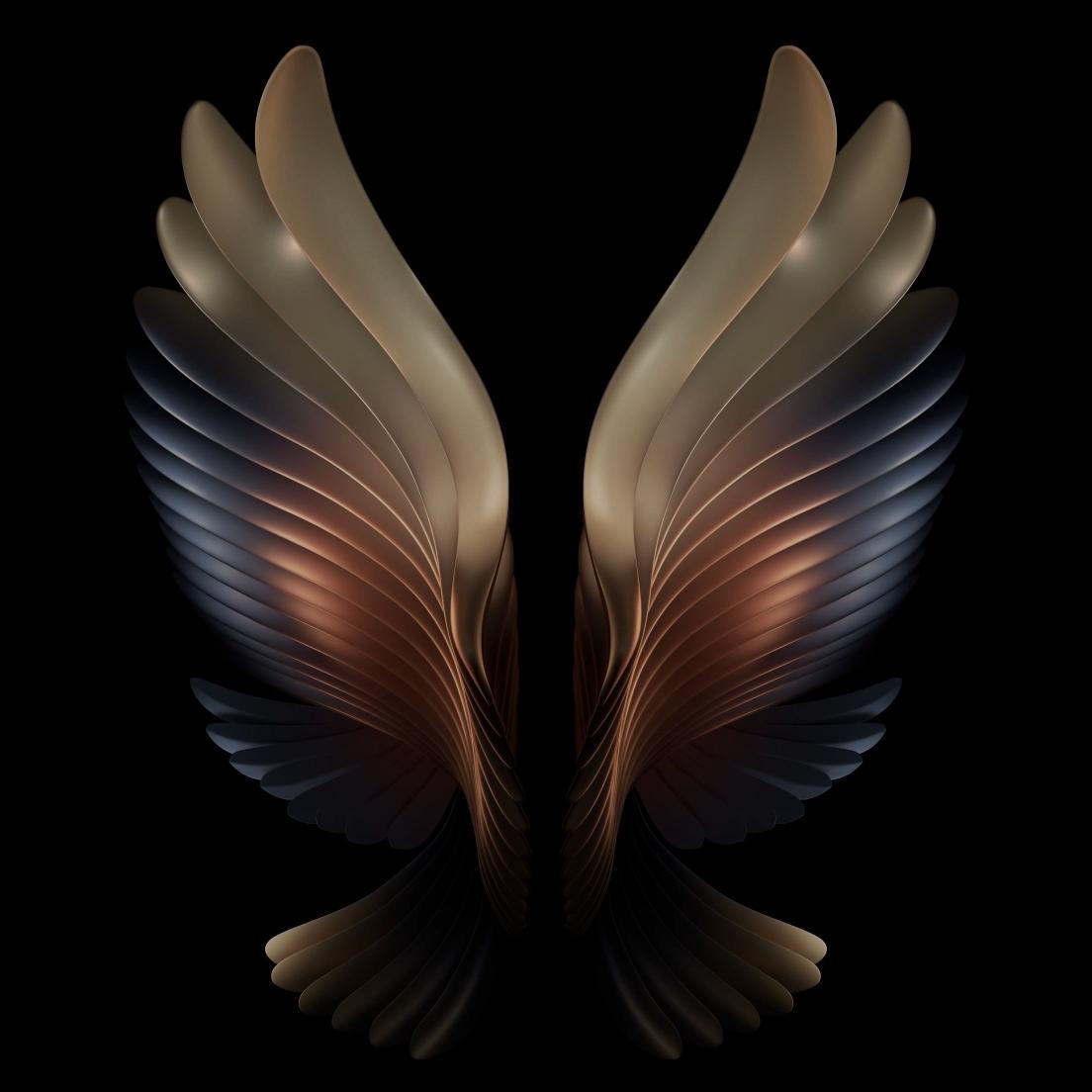 Elegant Metallic Wings - samsung Wallpaper