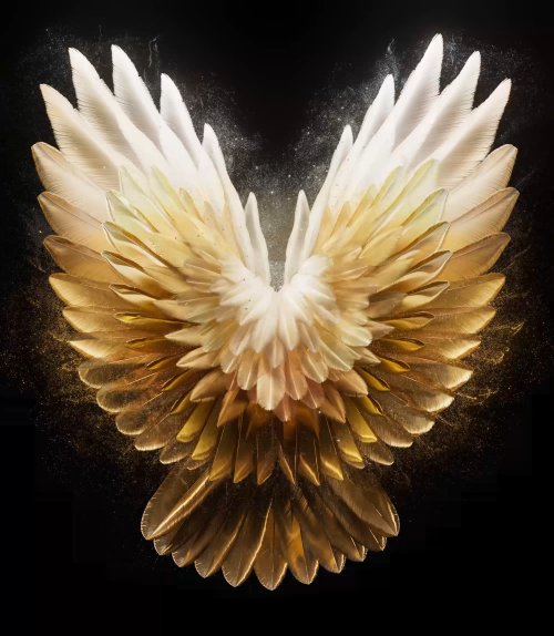 Golden Angelic Wings