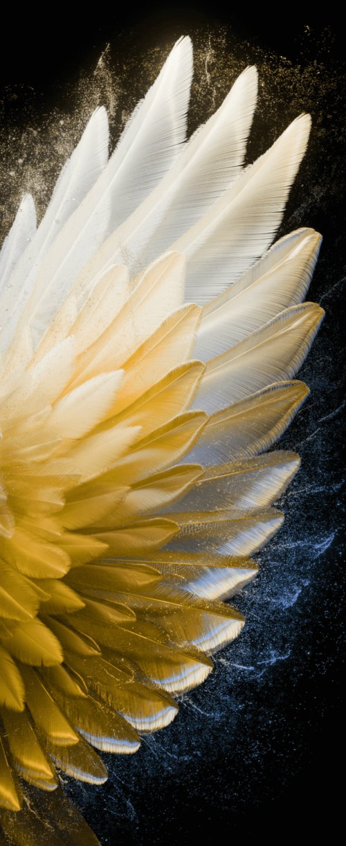 Golden Feather Abstract