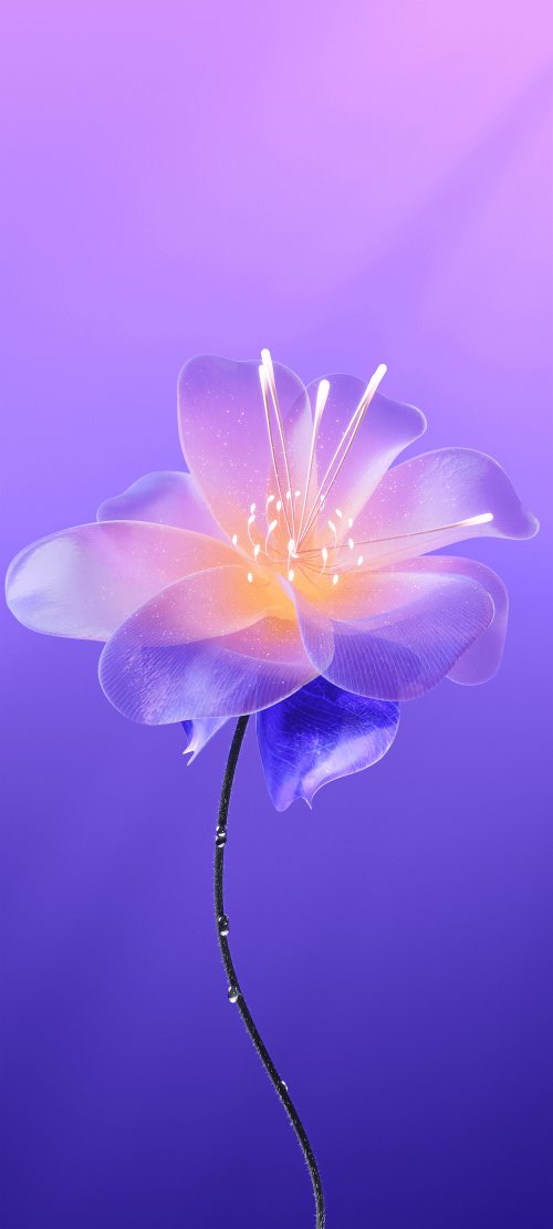 Purple Flower Dewdrops