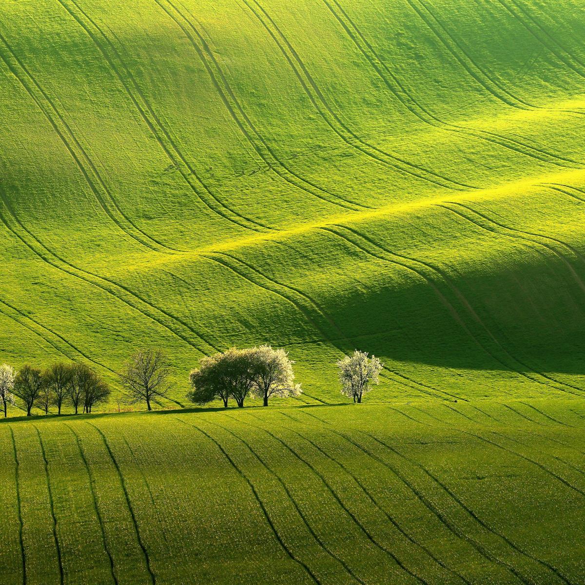 Rolling Green Hills