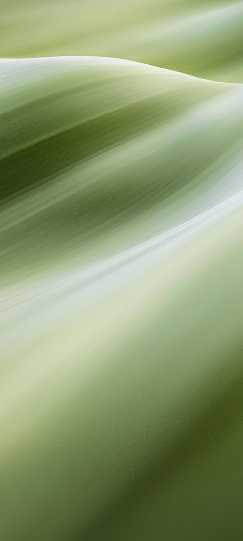 Soft Green Abstract Waves