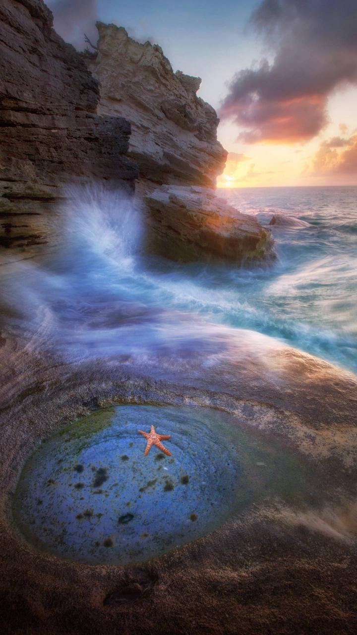 Starfish Tide Pool Sunset - Related OpersCraft wallpaper