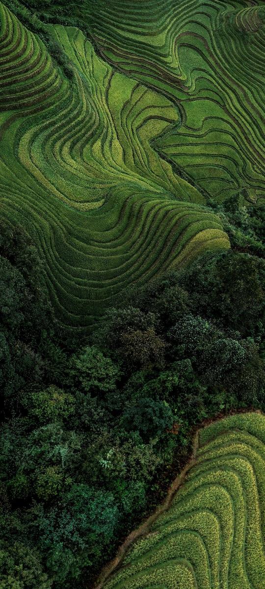 Verdant Terraced Hills - xiaomi Wallpaper