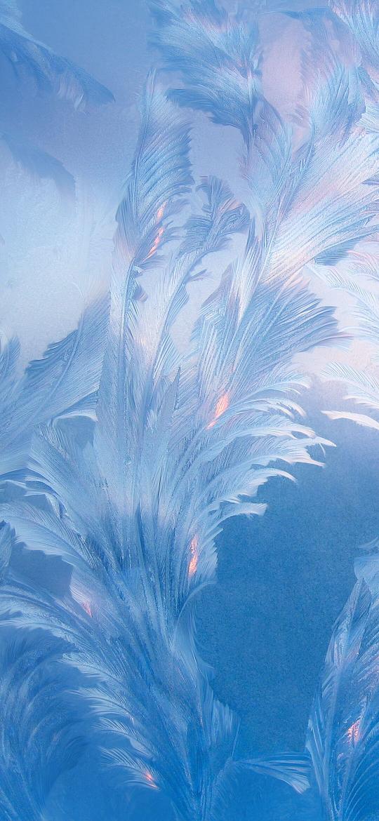 Winter Frost Feathers - Related OpersCraft wallpaper