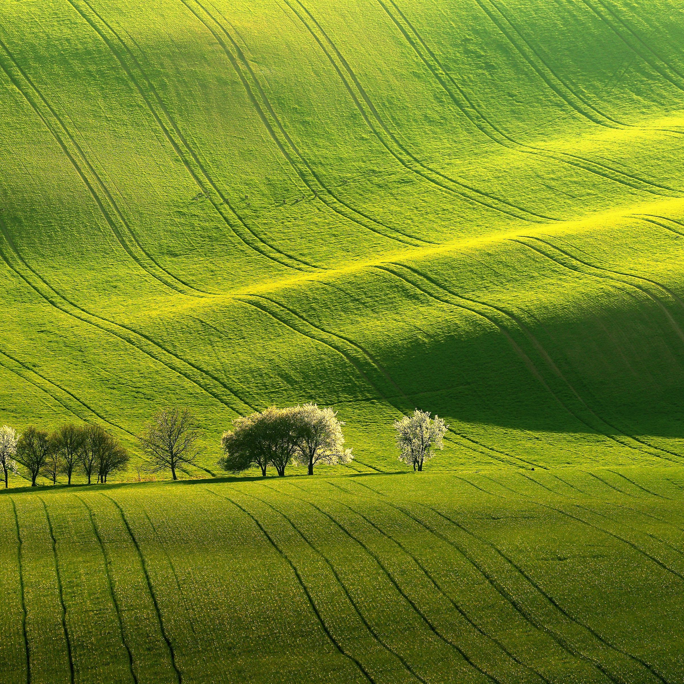 Rolling Green Hills - asus wallpaper for StockWalls