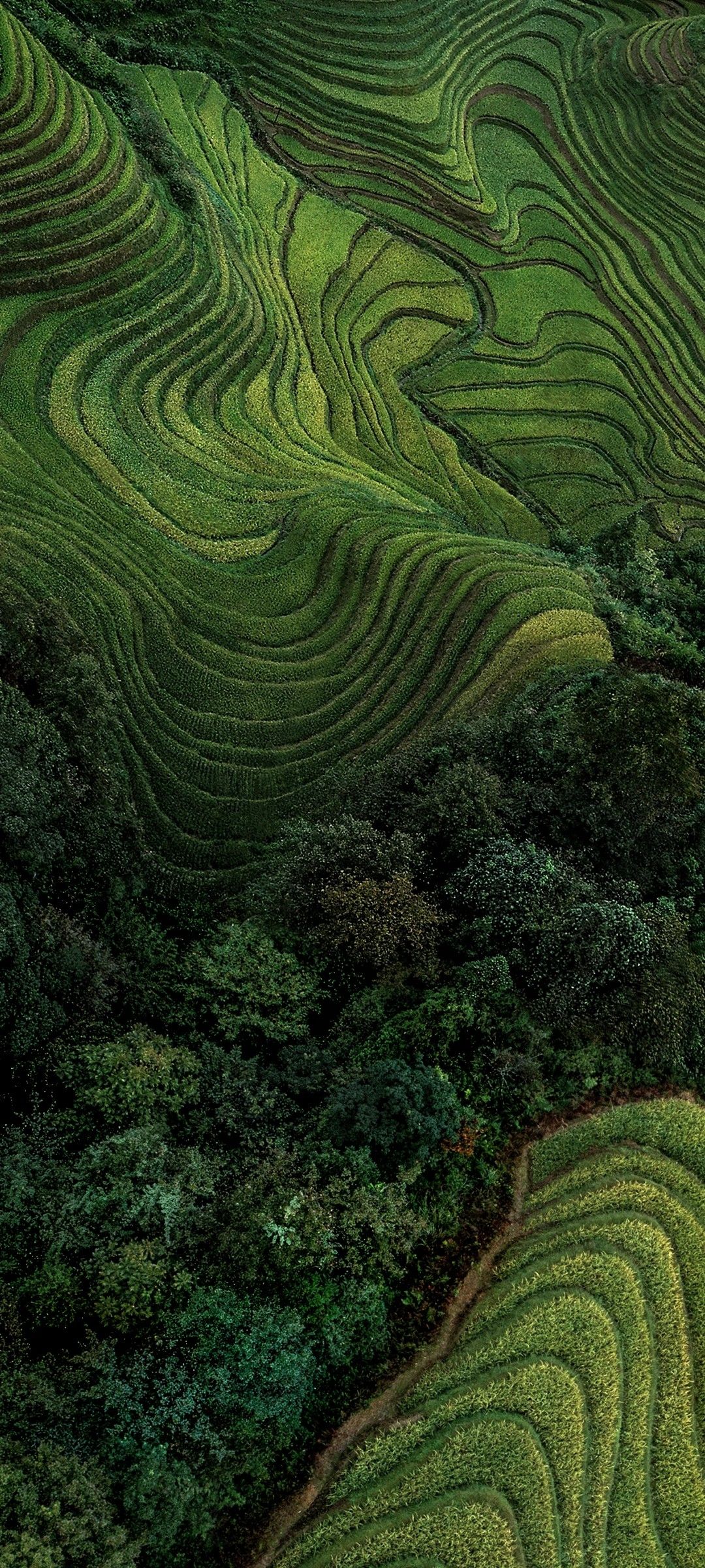 Verdant Terraced Hills - xiaomi wallpaper for StockWalls