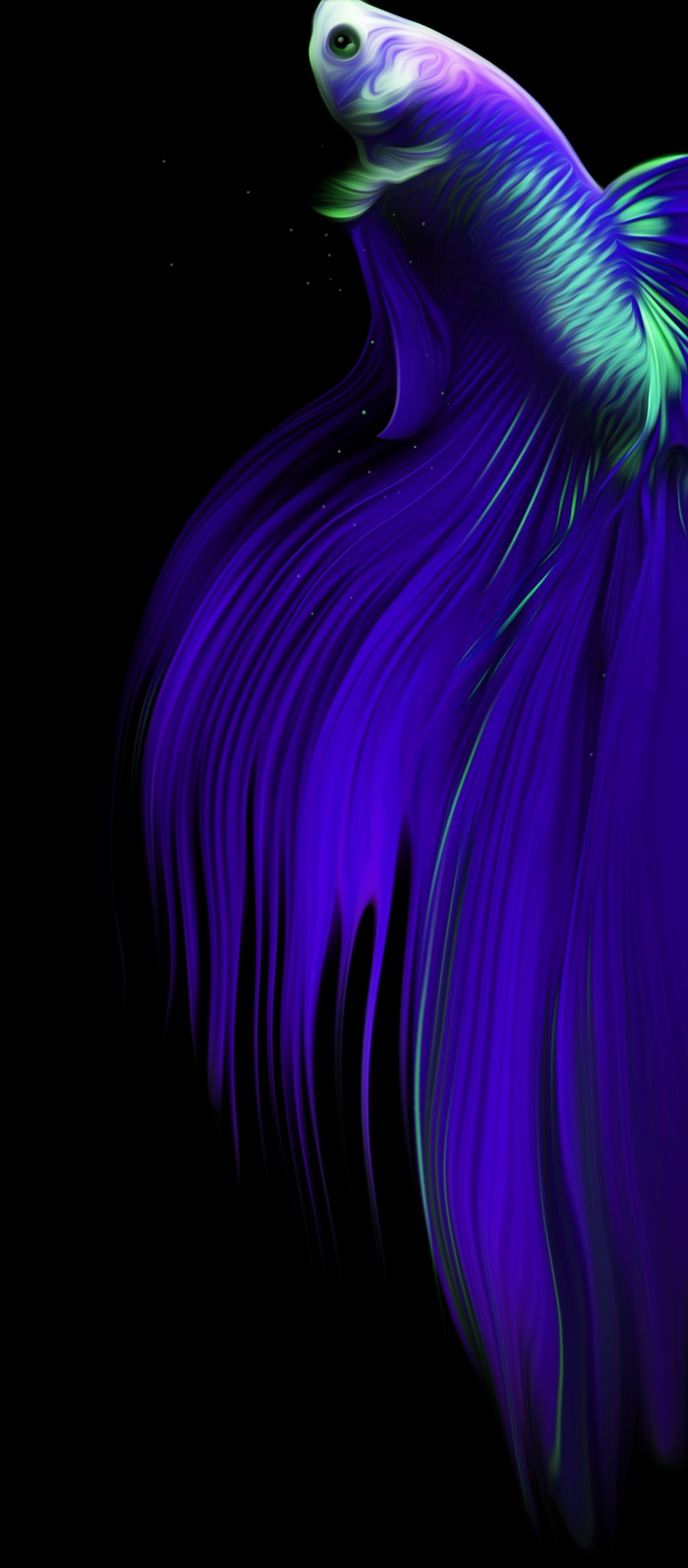 Vibrant Betta Fish Flow - infinix wallpaper for StockWalls