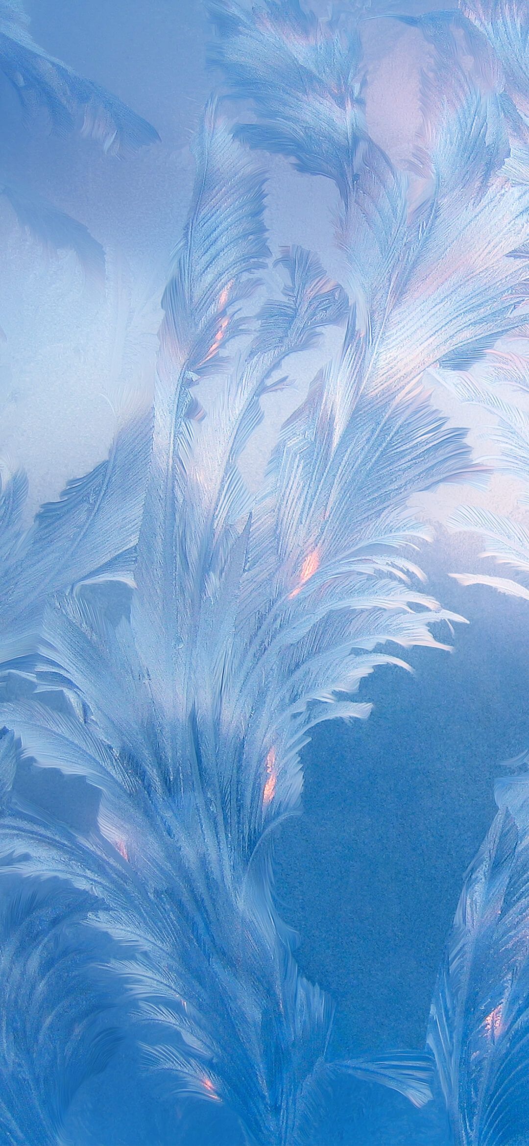 Winter Frost Feathers - xiaomi wallpaper for StockWalls
