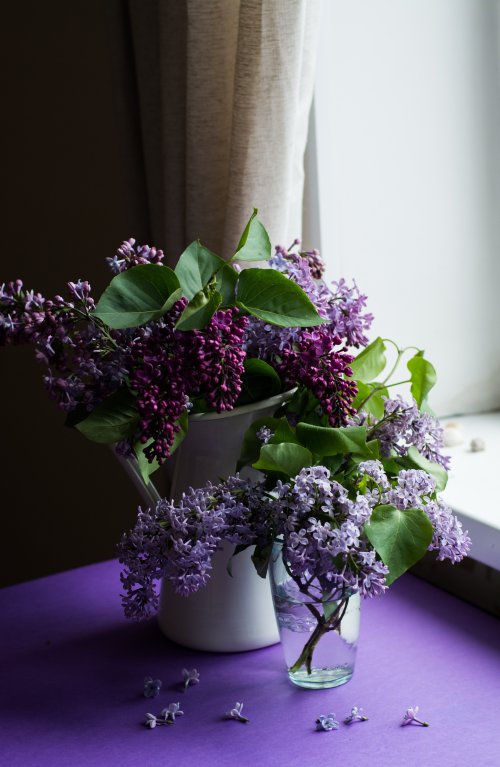 Lilac Still Life