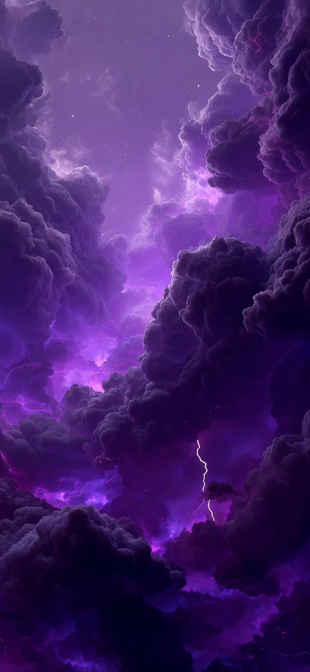 13356_video_1080x2340_1775890562