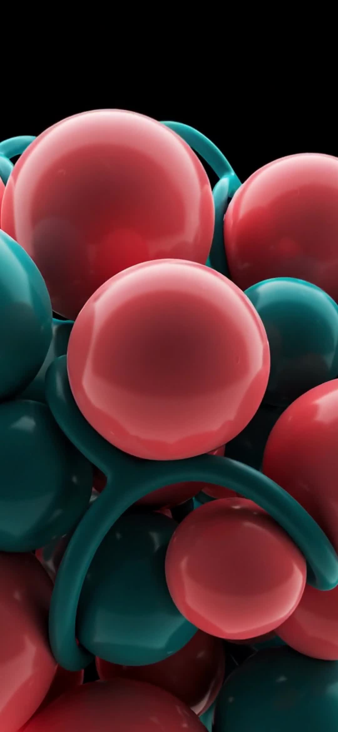 13214_video_1080x2340_1775375087