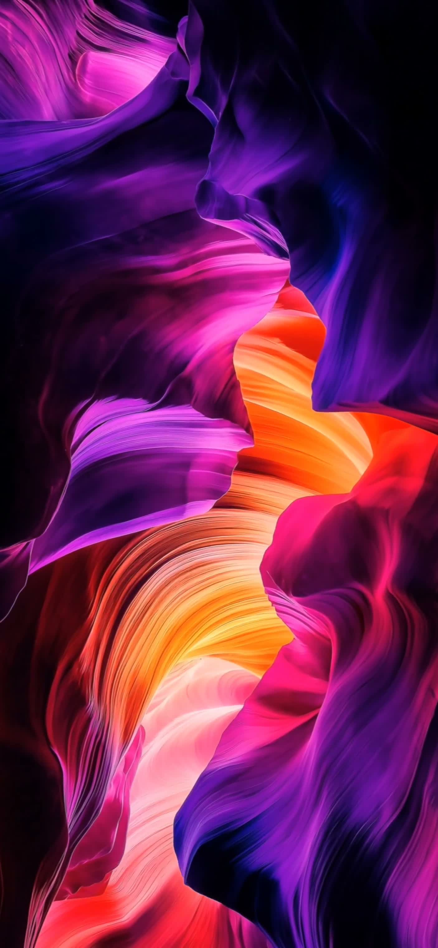 15620_video_1407x3045_1786952168